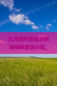 九月到内蒙额济纳胡杨林旅游小吃