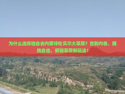 营口去内蒙呼伦贝尔大草原个人游