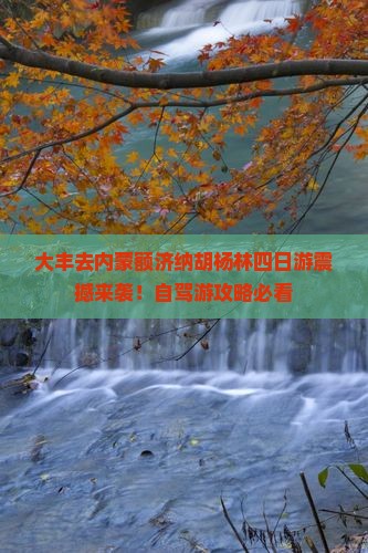 大丰去内蒙额济纳胡杨林四日游