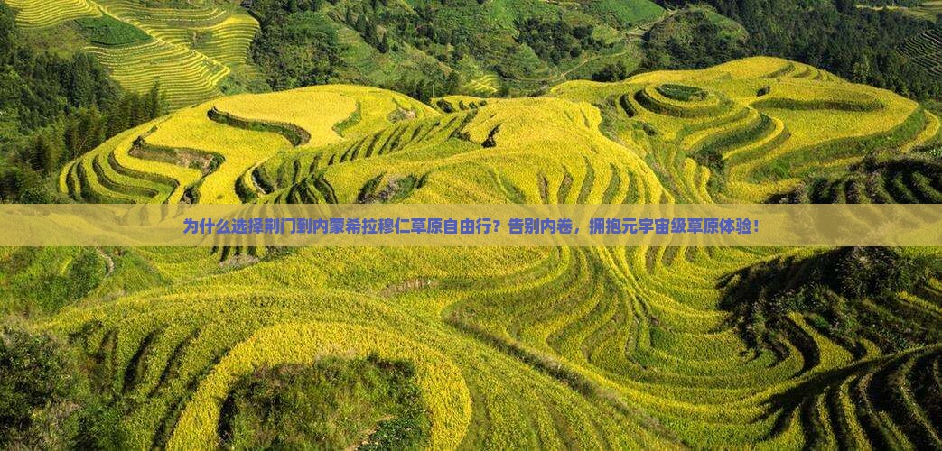 荆门到内蒙希拉穆仁草原自由行