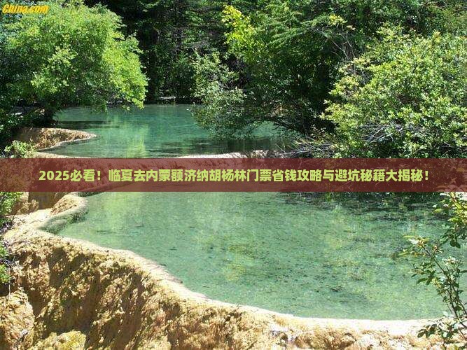 临夏去内蒙额济纳胡杨林门票