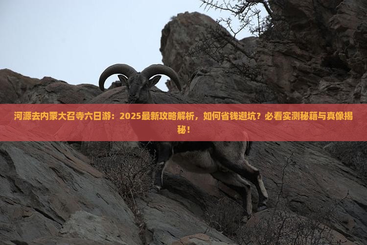 河源去内蒙大召寺六日游