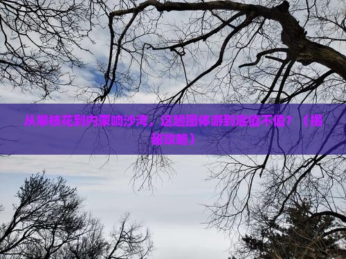 攀枝花到内蒙响沙湾团体旅游