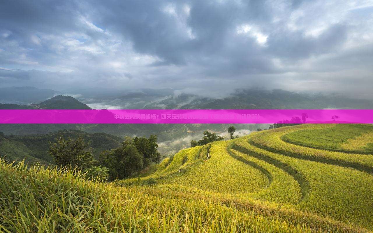中秋节到内蒙额济纳胡杨林四日游