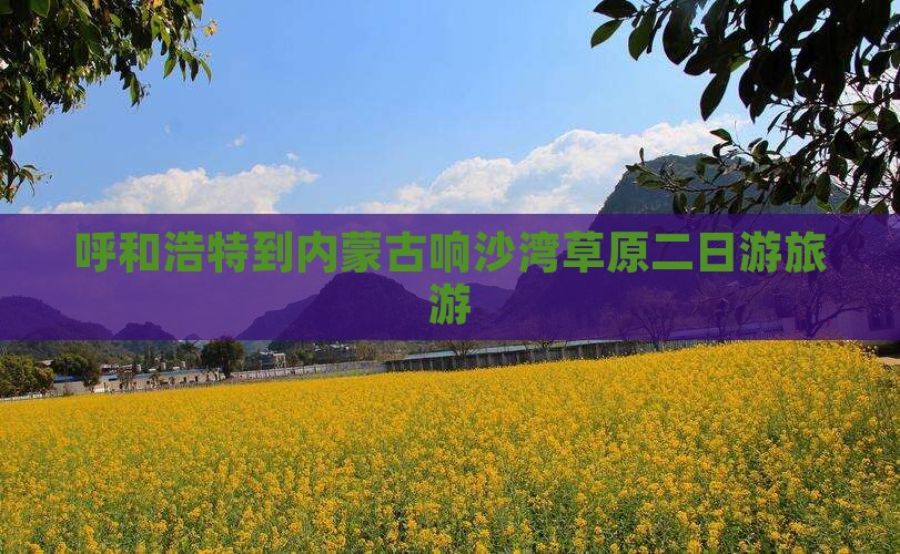 呼和浩特到内蒙响沙湾二日游