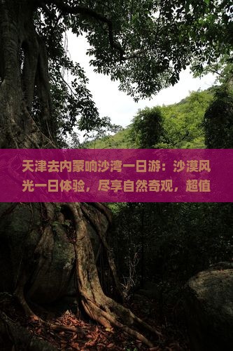 天津去内蒙响沙湾一日游