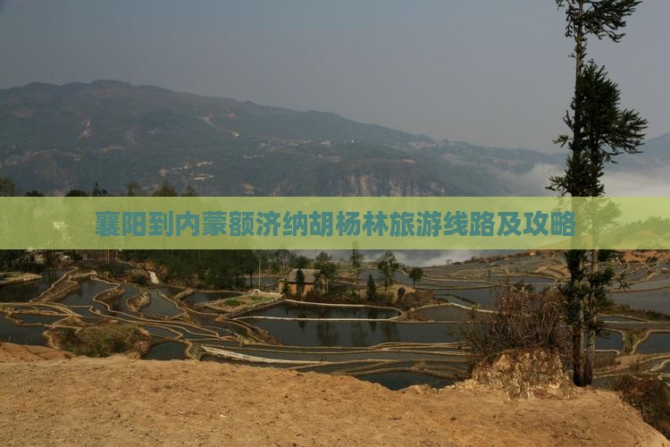 襄阳到内蒙额济纳胡杨林旅游