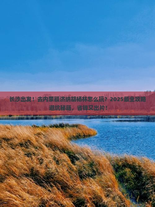长沙去内蒙额济纳胡杨林攻略