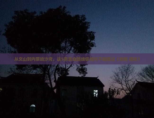 文山到内蒙响沙湾旅游小吃