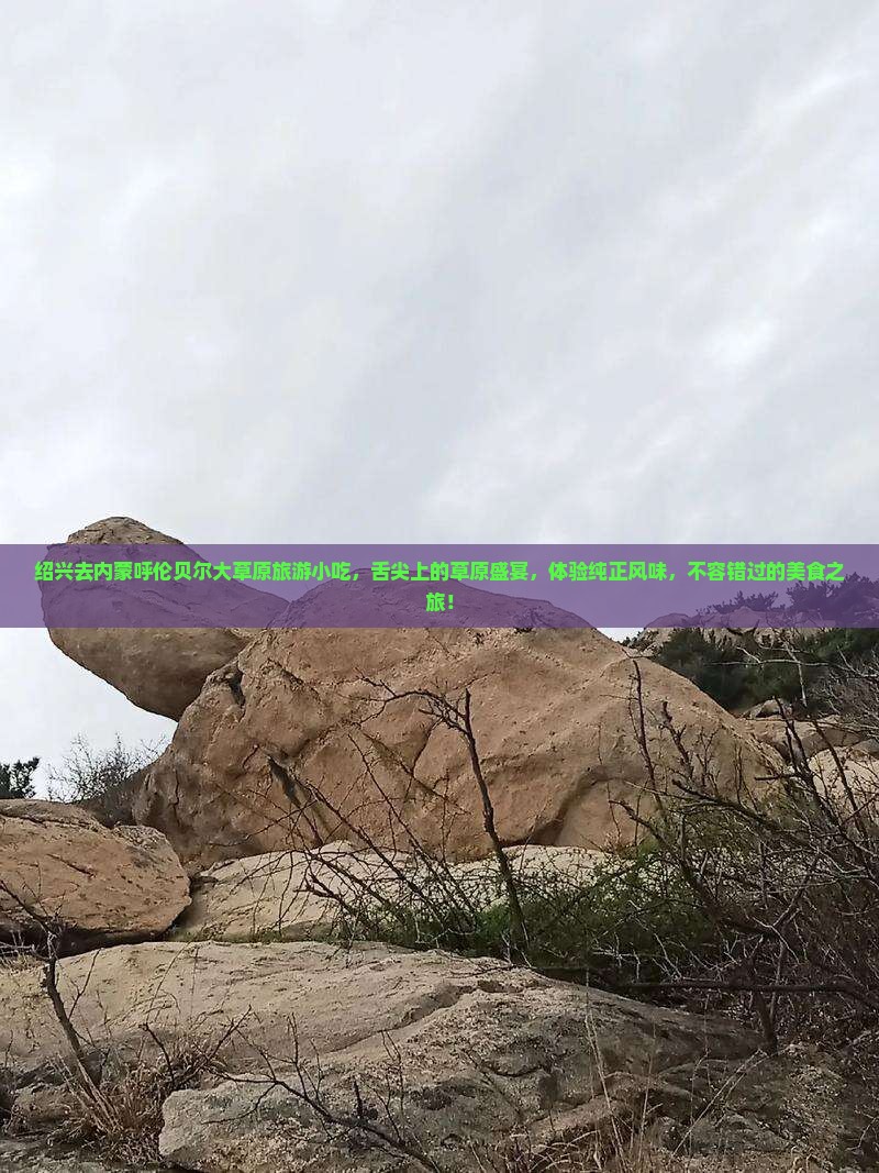 绍兴去内蒙呼伦贝尔大草原旅游小吃