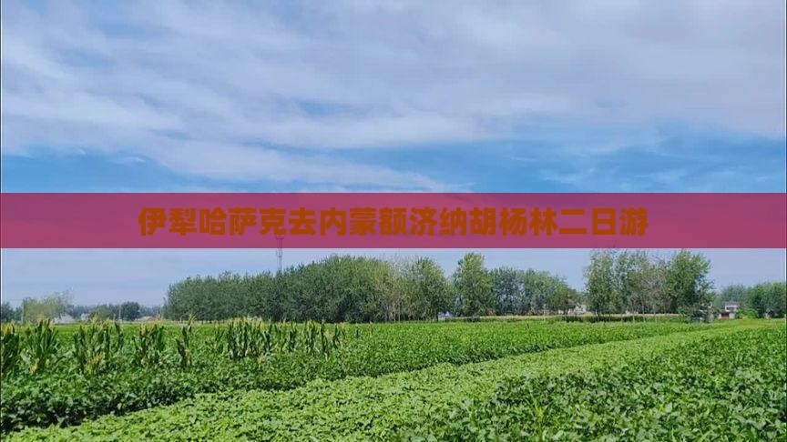 伊犁哈萨克去内蒙额济纳胡杨林二日游