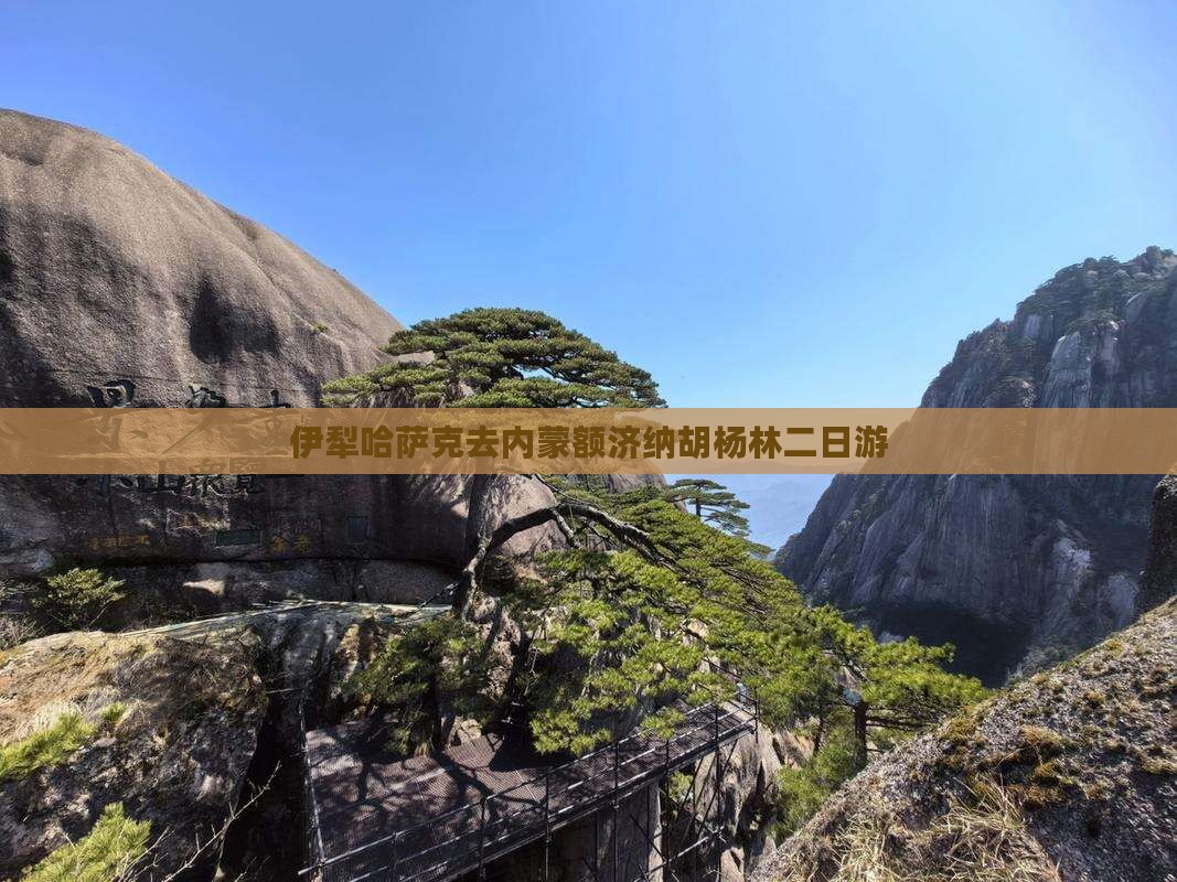 伊犁哈萨克去内蒙额济纳胡杨林二日游