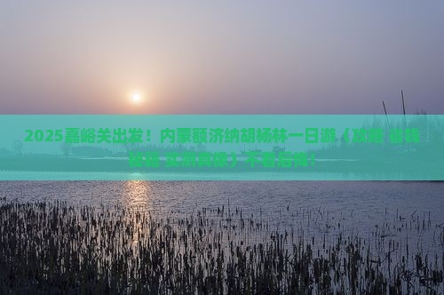 嘉峪关去内蒙额济纳胡杨林一日游