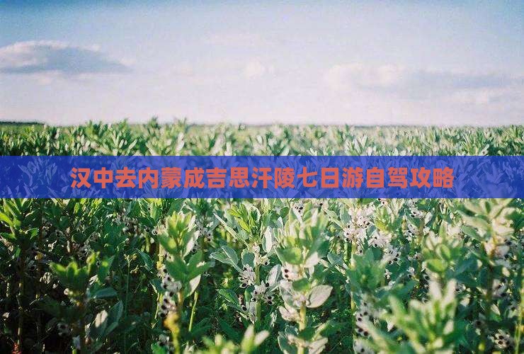 汉中去内蒙成吉思汗陵七日游