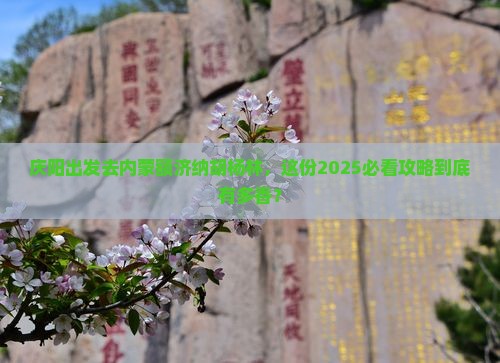 庆阳去内蒙额济纳胡杨林旅游