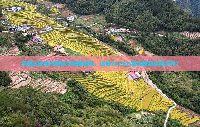 庆阳去内蒙额济纳胡杨林旅游