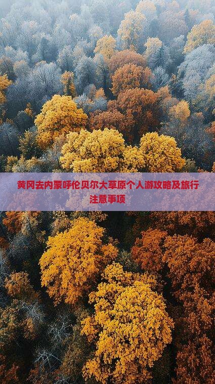 黄冈去内蒙呼伦贝尔大草原个人游