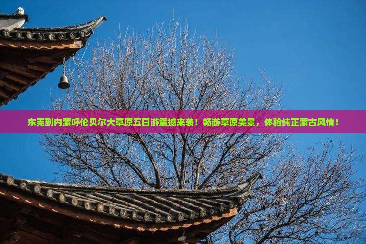 东莞到内蒙呼伦贝尔大草原五日游