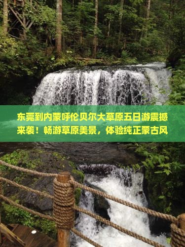 东莞到内蒙呼伦贝尔大草原五日游