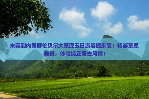 东莞到内蒙呼伦贝尔大草原五日游
