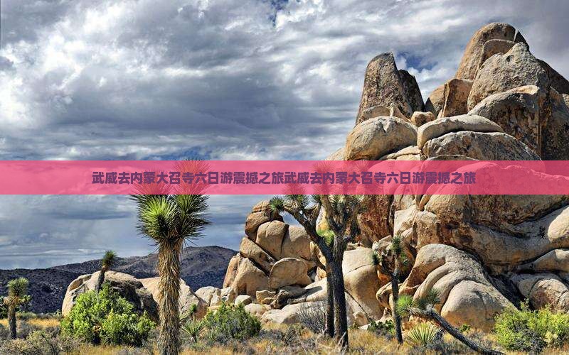 武威去内蒙大召寺六日游