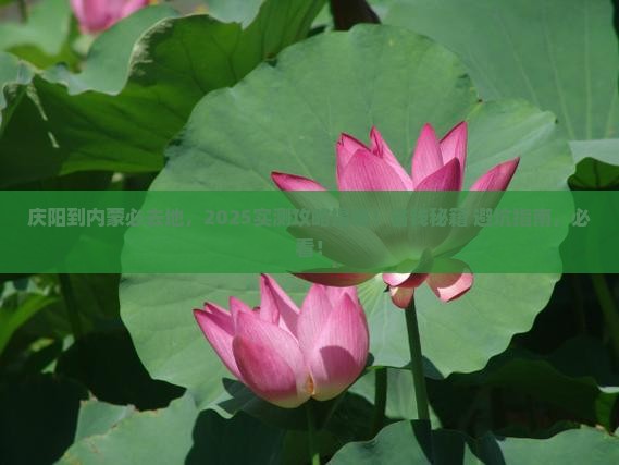 庆阳到内蒙必去地
