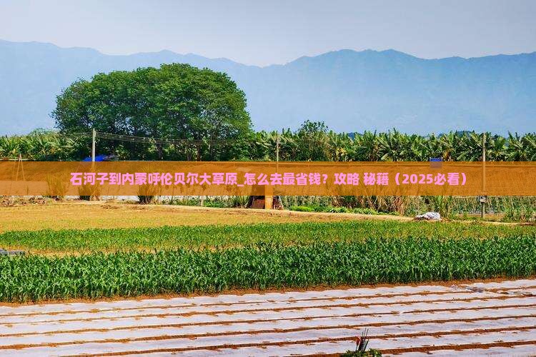 石河子到内蒙呼伦贝尔大草原旅游