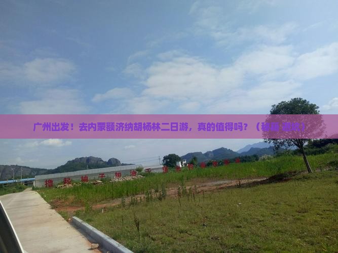 广州去内蒙额济纳胡杨林二日游