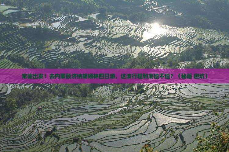 常德去内蒙额济纳胡杨林四日游