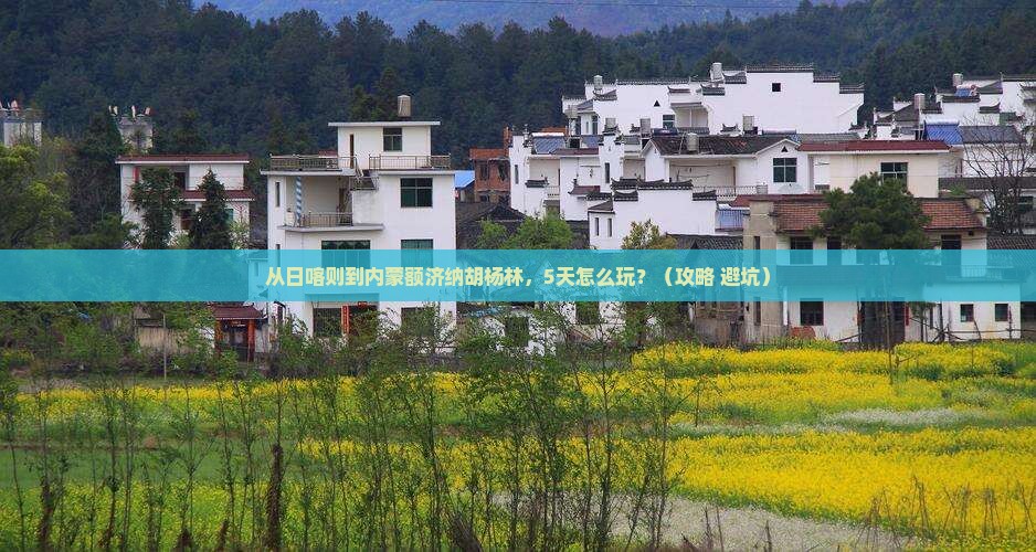日喀则到内蒙额济纳胡杨林个人游