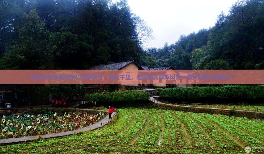 周口到内蒙希拉穆仁草原景点
