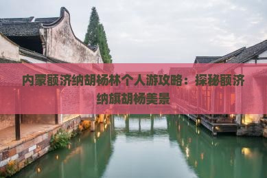 劳动节去内蒙额济纳胡杨林个人游 劳动节去内蒙额济纳胡杨林个人游