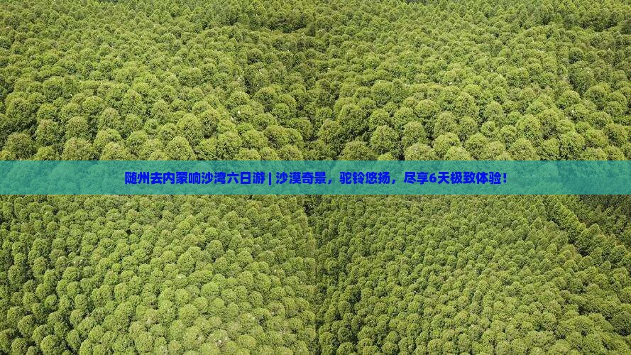 随州去内蒙响沙湾六日游