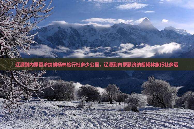 辽源到内蒙额济纳胡杨林旅行社