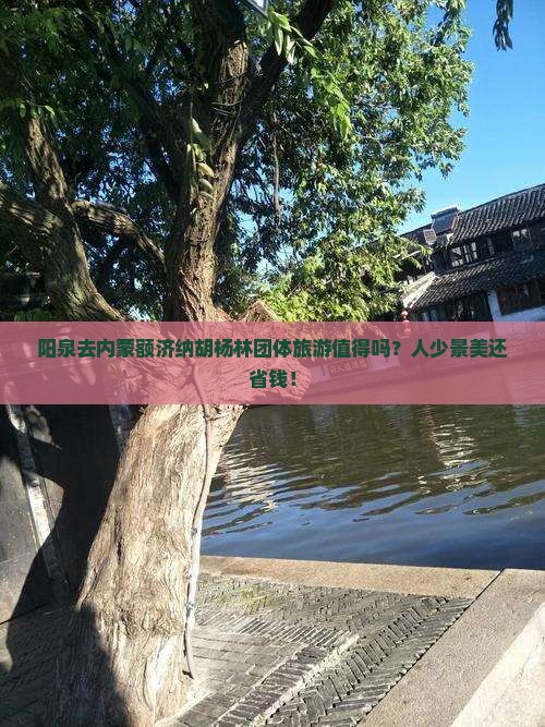 阳泉去内蒙额济纳胡杨林团体旅游