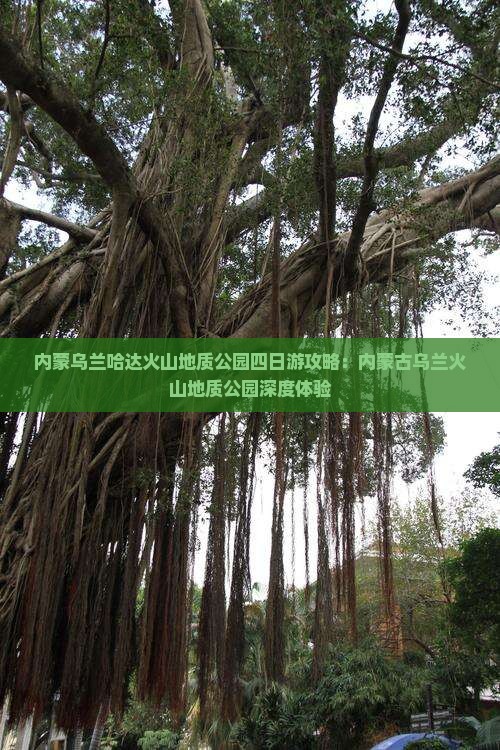 福州到内蒙乌兰哈达火山地质公园四日游
