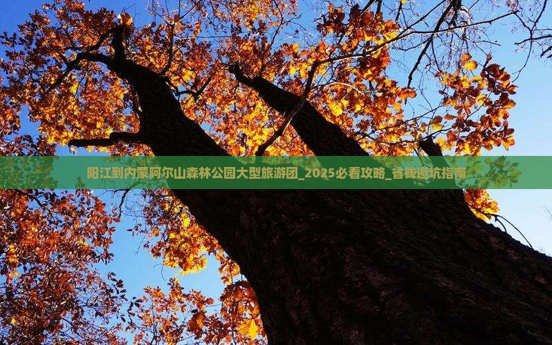 阳江到内蒙阿尔山国家森林公园大型旅游团