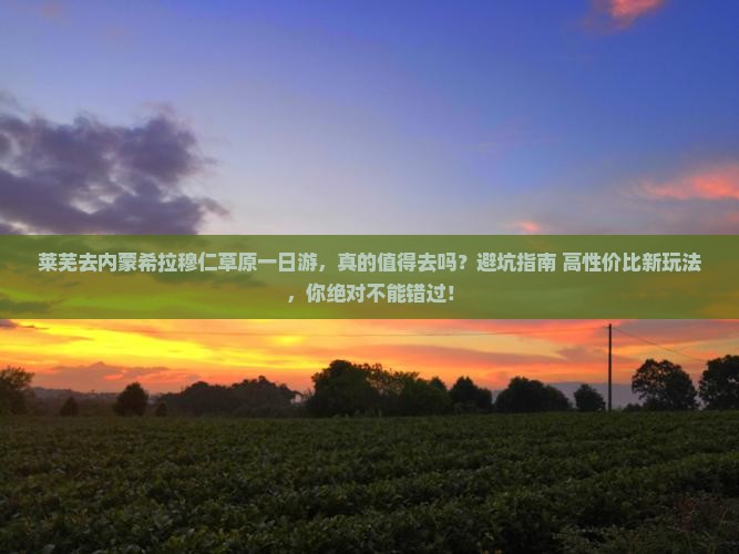 莱芜去内蒙希拉穆仁草原一日游