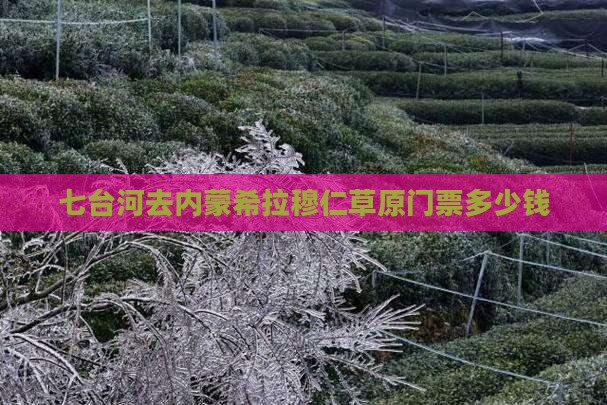 七台河去内蒙希拉穆仁草原门票