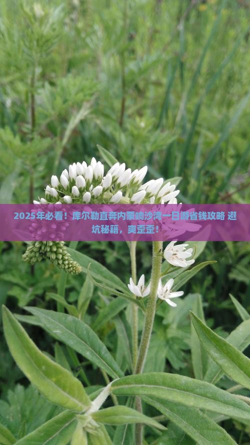 库尔勒到内蒙响沙湾一日游