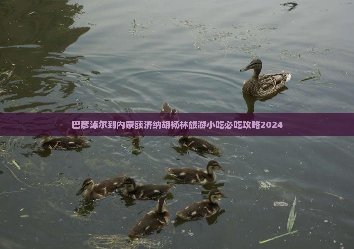巴彦淖尔到内蒙额济纳胡杨林旅游小吃 巴彦淖尔到内蒙额济纳胡杨林旅游小吃