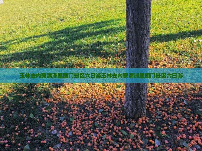玉林去内蒙满洲里国门景区六日游