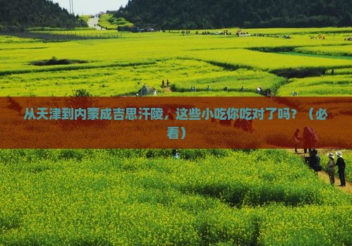 天津去内蒙成吉思汗陵旅游小吃 天津去内蒙成吉思汗陵旅游小吃
