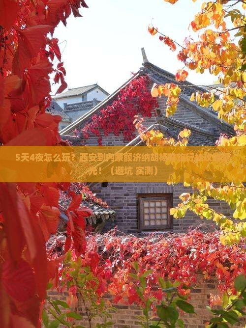 西安到内蒙额济纳胡杨林旅行社