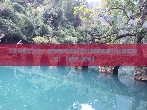 西安到内蒙额济纳胡杨林旅行社