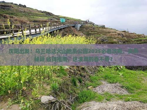 庆阳到内蒙乌兰哈达火山地质公园必去地