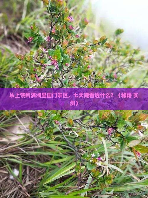 上饶到内蒙满洲里国门景区七日游