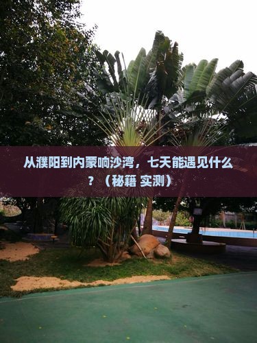 濮阳到内蒙响沙湾七日游