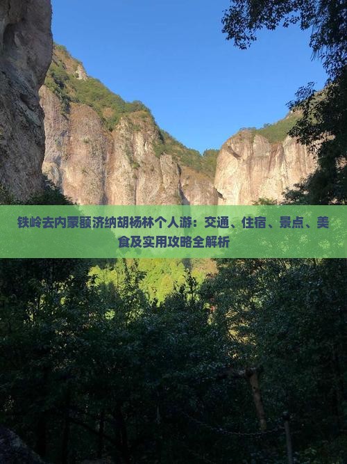 铁岭去内蒙额济纳胡杨林个人游