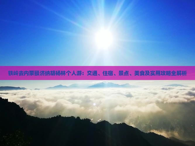 铁岭去内蒙额济纳胡杨林个人游